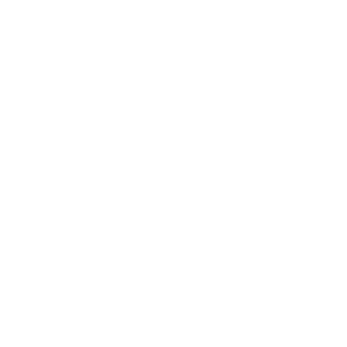 Sarah Rose Aesthetics