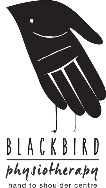 Blackbird Physiotherapy: Hand to Shoulder Centre