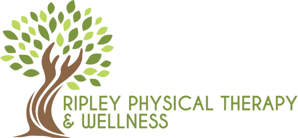 Ripley Physical Therapy and Wellness