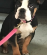 Book an Appointment with Massage Therapist at Float Demo